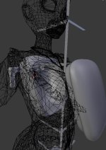 torso size and depth 1.jpg