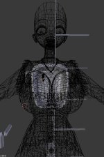 torso size and depth 2.jpg