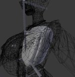 torso size and depth 3.jpg