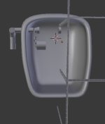 torso cavity 1.jpg